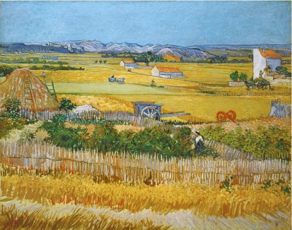 Wheatfield, 1888 By Vincent Van Gogh